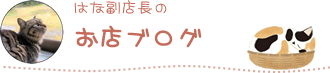 はな副店長のお店ブログ